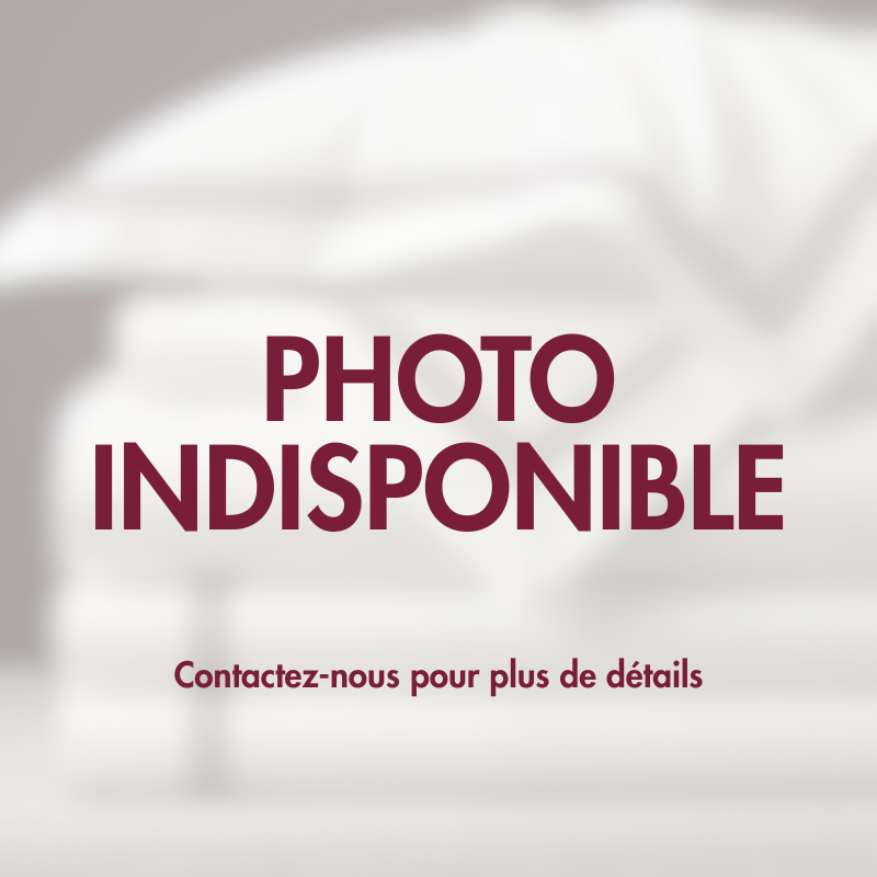 L'Écrin d'Apparat du Henné